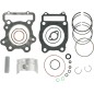 PISTON KIT TRX 300