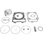 PISTON KIT W/GASKETS