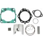PISTON KIT W/GASKET