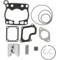 PISTON KIT W/GASKETS