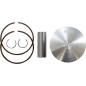 PISTON KIT RT 100