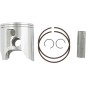 PISTON KIT ATC/TRX 250