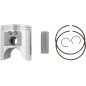 PISTON KIT ATC/TRX 250