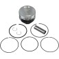 PISTON KIT GRIZZLY/RHINO