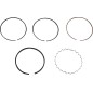 RING SET WISECO