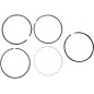RING SET WISECO