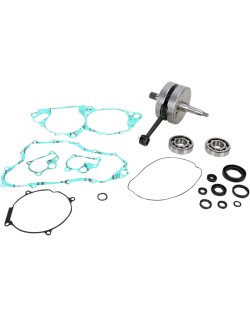 CRANK W/BRG + GASKET