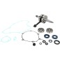CRANK W/BRG + GASKET