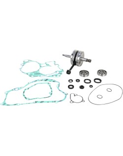 CRANK W/BRG + GASKET