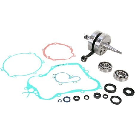 CRANK W/BRG + GASKET