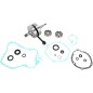 CRANK W/BRG + GASKET