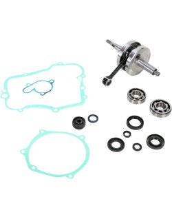 CRANK W/BRG GASKET