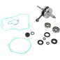 CRANK W/BRG GASKET