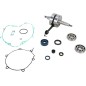 CRANK W/BRG GASKET