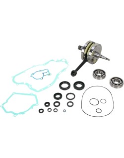 CRANK W/BRG GASKET