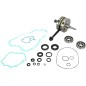 CRANK W/BRG GASKET