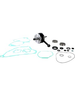 CRANK W/BRG + GASKET