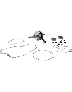 CRANK W/BRG GASKET