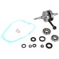 CRANK W/BRG + GASKET