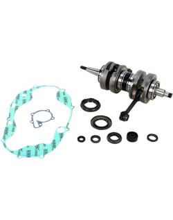 CRANK W/BRG + GASKET