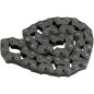 CAMCHAIN TRX/RANCHER