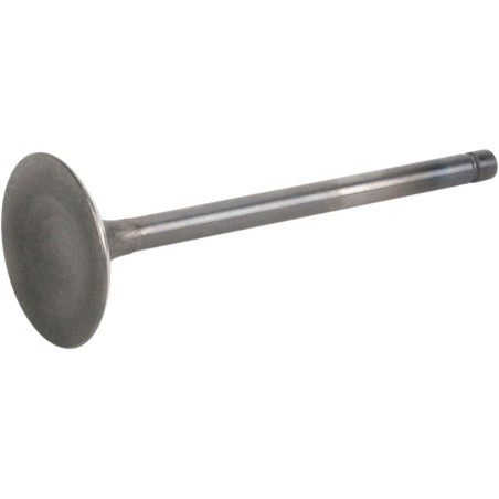 VALVE STEEL EX CRF450R