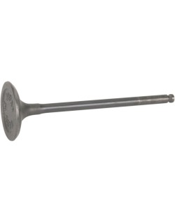 VALVE STEEL INT 400/426