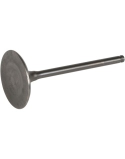 VALVE STEEL INT DRZ400