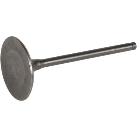 VALVE STEEL INT DRZ400