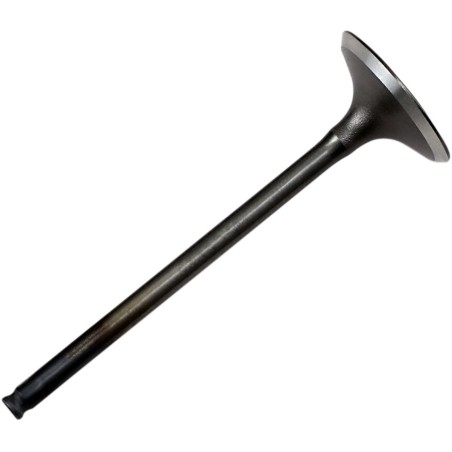 VALVE STEEL INT CRF150R