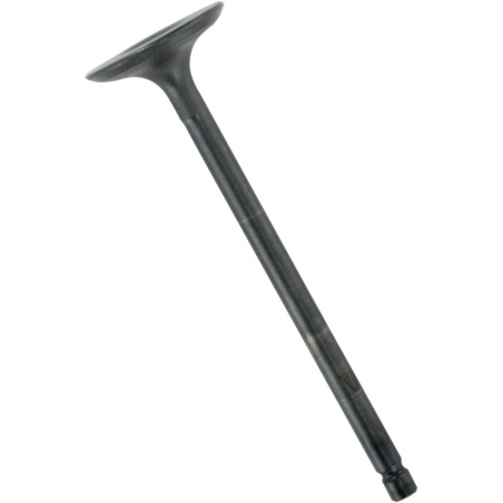 VALVE STEEL INT YAM