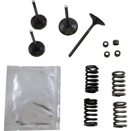 VALVE KT GB CRF450R 02-06