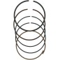 WISECO RING SET