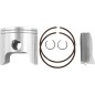 PISTON POL ATV300 1.50MM