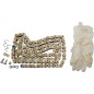 CHAIN R4 SRS ROAD 520X120