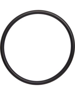 O-RING EXH TRX250R