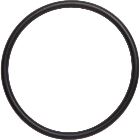 O-RING EXH TRX250R