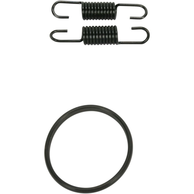 SPRING/ORING KIT RM125