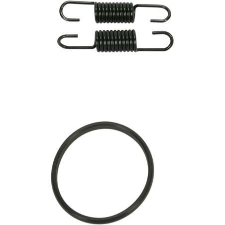 SPRING/ORING KIT RM125