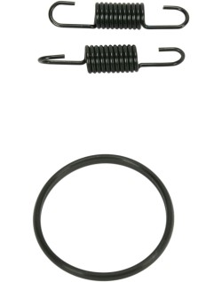 SPRING/ORING KIT RM250
