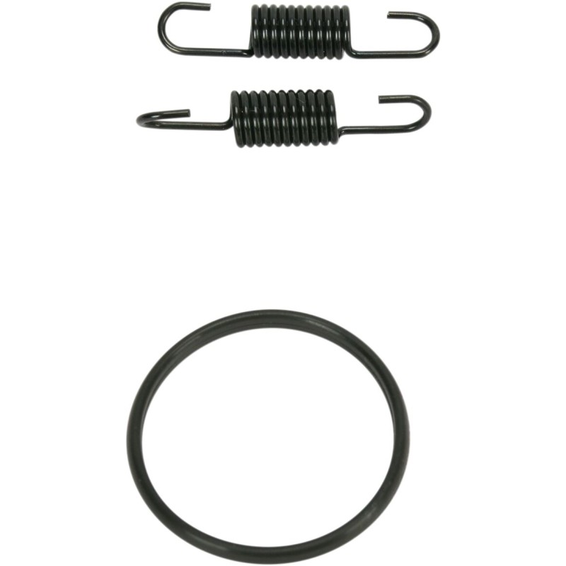 SPRING/ORING KIT RM250