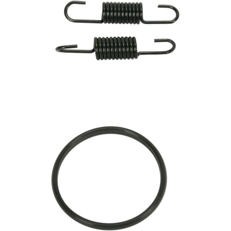 SPRING/ORING KIT RM250