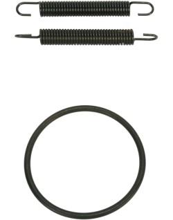 SPRING/ORING KIT YZ250