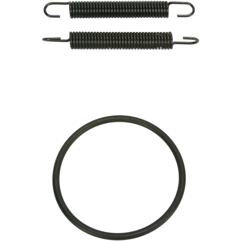 SPRING/ORING KIT YZ250
