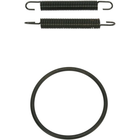 SPRING/ORING KIT YZ250