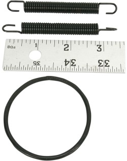 SPRING/O-RING KIT 250R