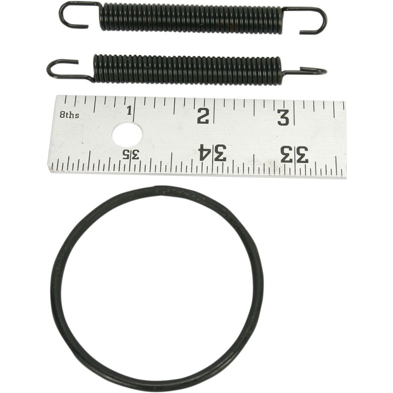 SPRING/O-RING KIT 250R