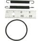 SPRING/O-RING KIT 250R
