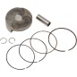 PISTON KIT CRF250R