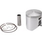 PISTON KIT 71.94 TM300